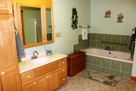 515 Hillock Road Ferrum, VA 24088 - Photo 18 of 29 Master Bath (pic1)