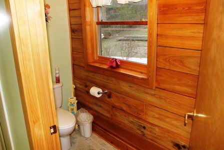 515 Hillock Road Ferrum, VA 24088 - Photo 20 of 29 Master Bath (pic3)