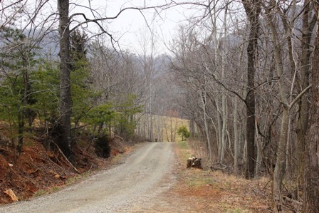 515 Hillock Road Ferrum, VA 24088 - Photo 28 of 29 Private Setting