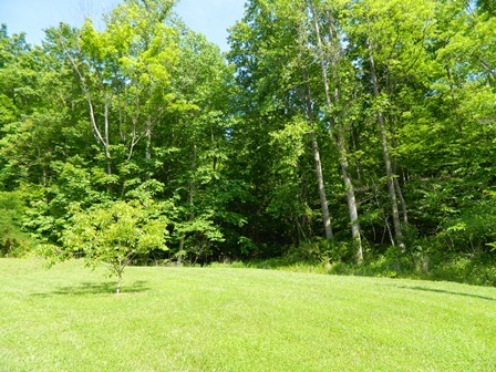 Right Side Yard