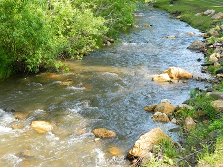 Nearby Creek