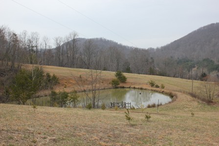 515 Hillock Road Ferrum, VA 24088 - Photo 9 of 29 Pond