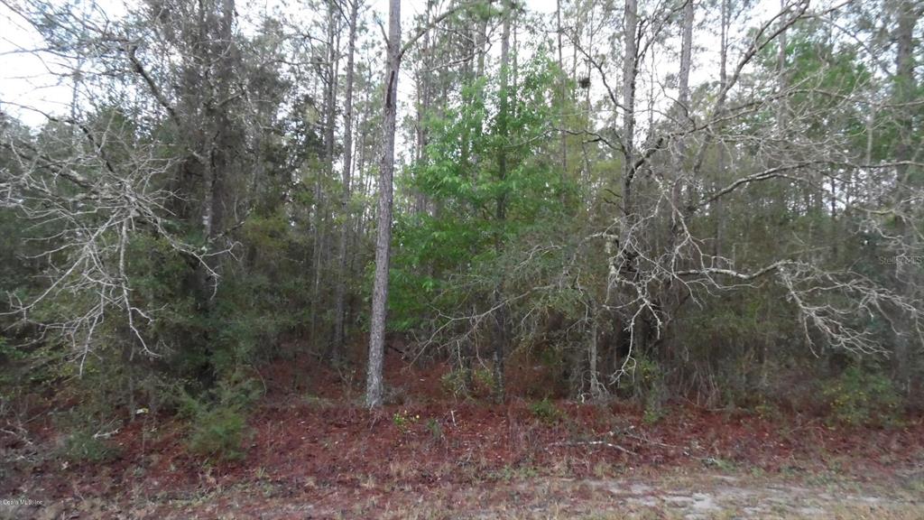 28 Southwest 88th Place Road Dunnellon, FL 34431 - Photo 1 of 1 SAM_0505