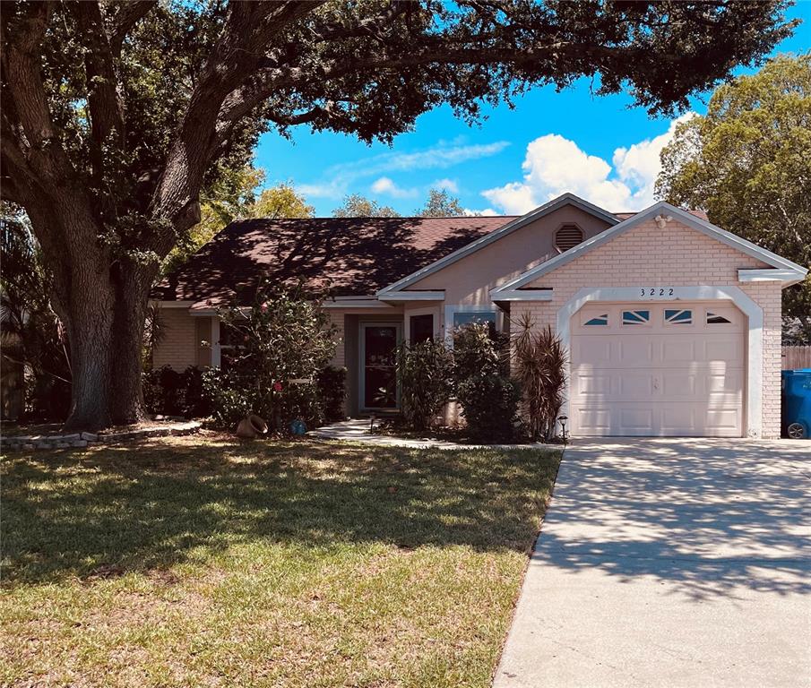 3222 Carlsbad Street New Port Richey, FL 34655 - Photo 1 of 1 Gallery Image 1