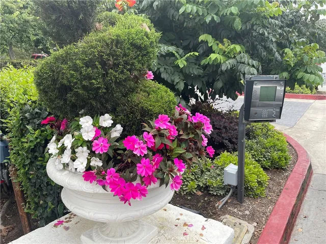 a view of a flower in a flowers