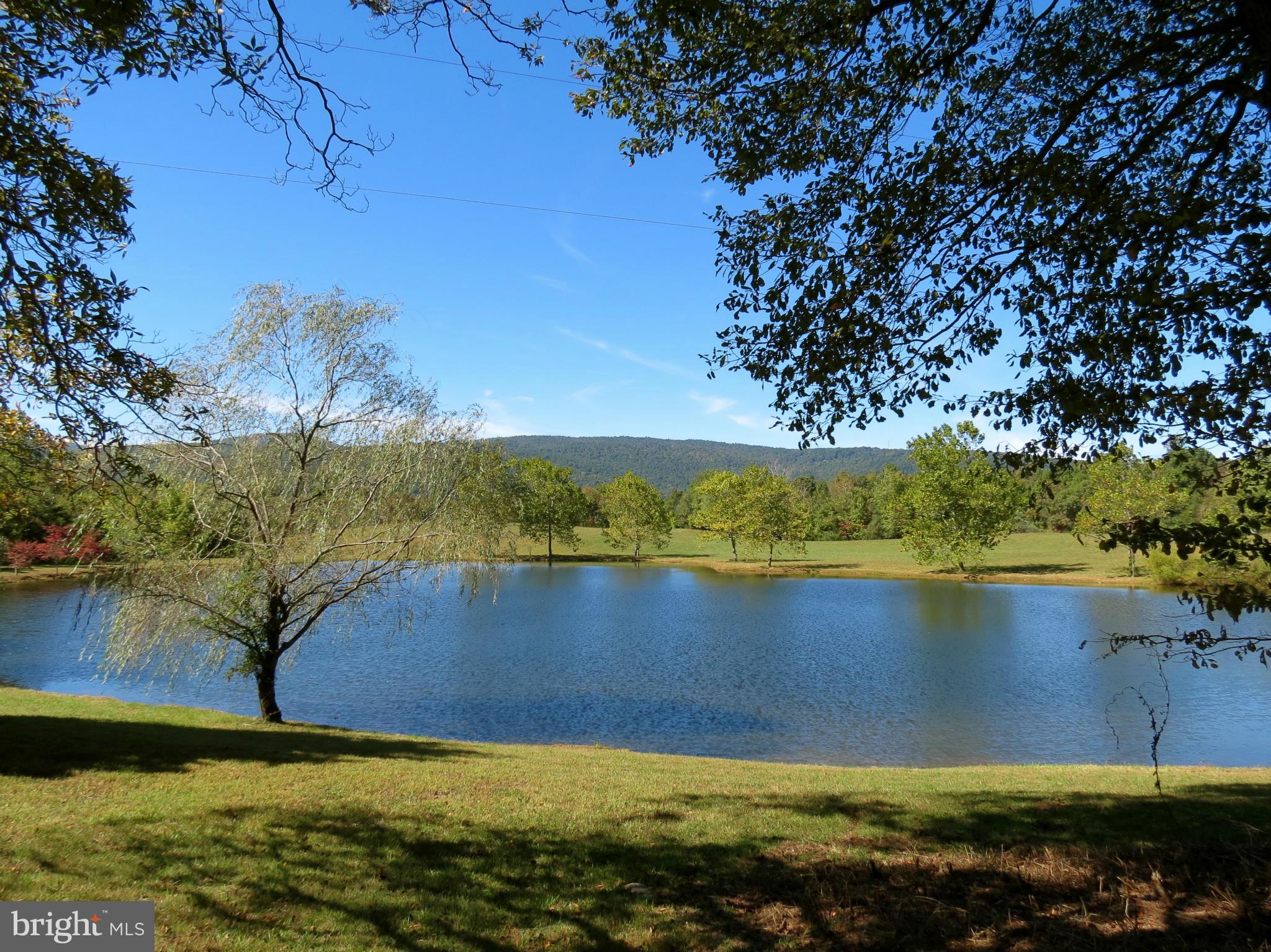 Pond