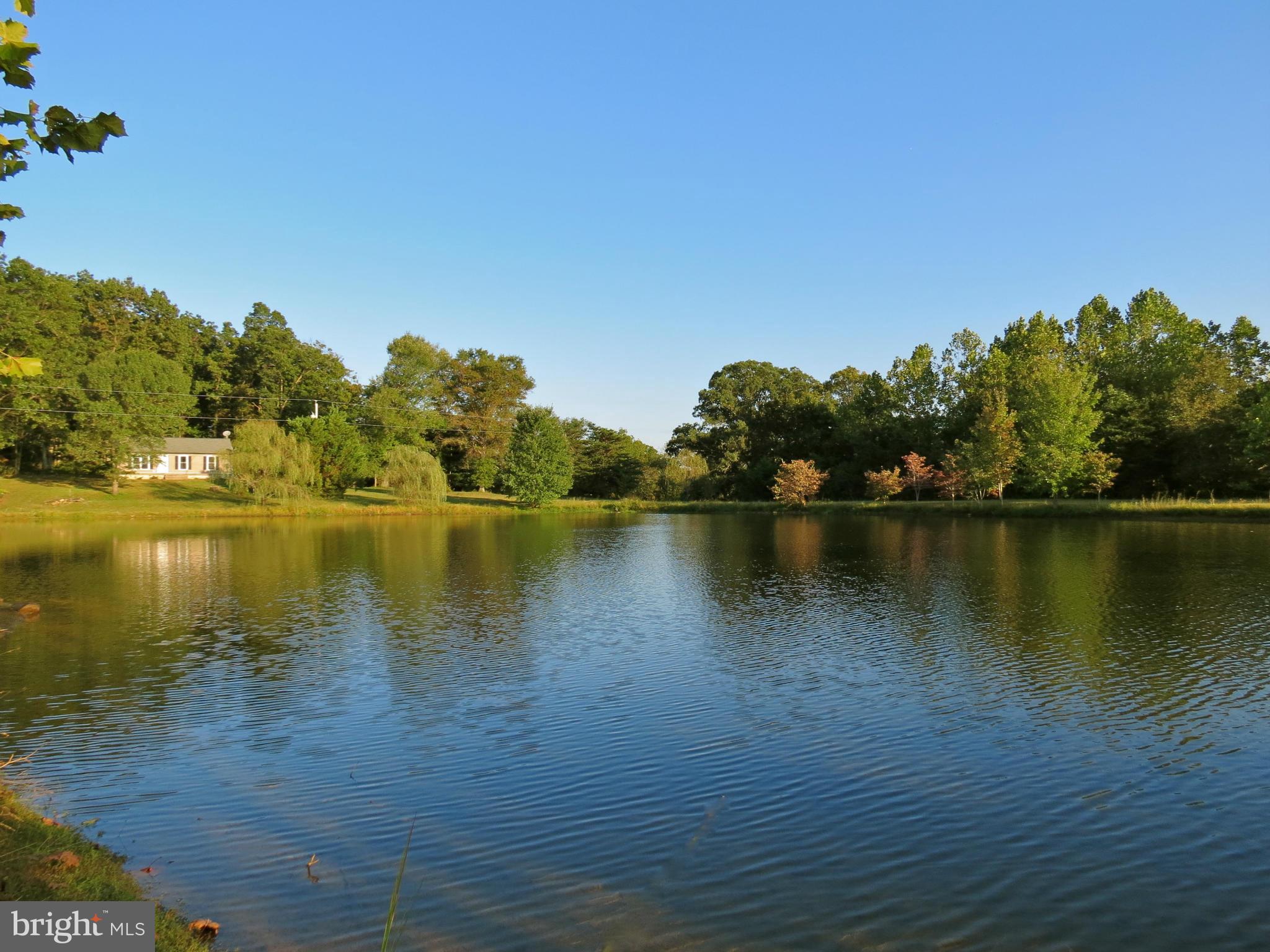 View of the house from across the pond