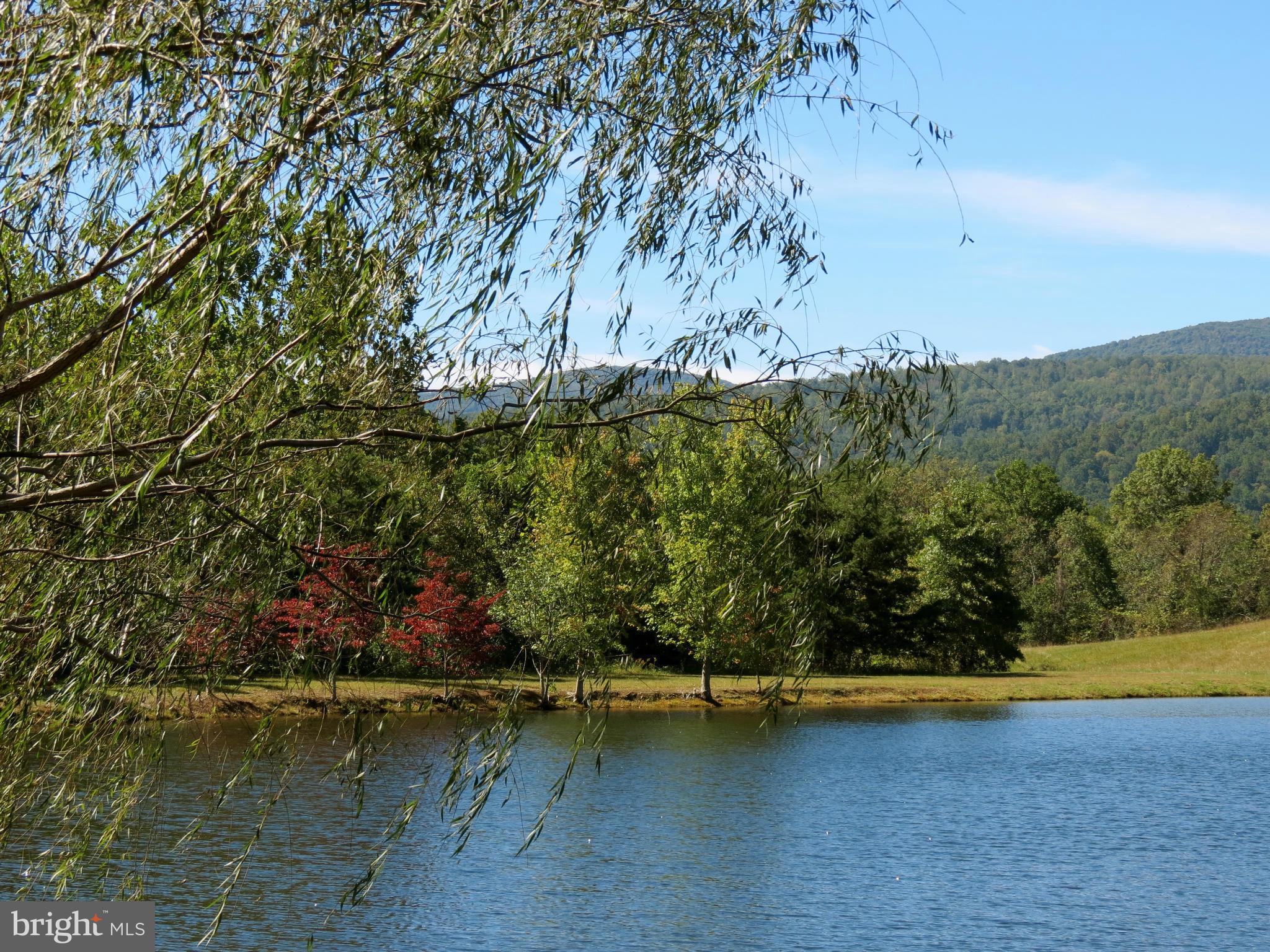View of Pond starting to the South 1