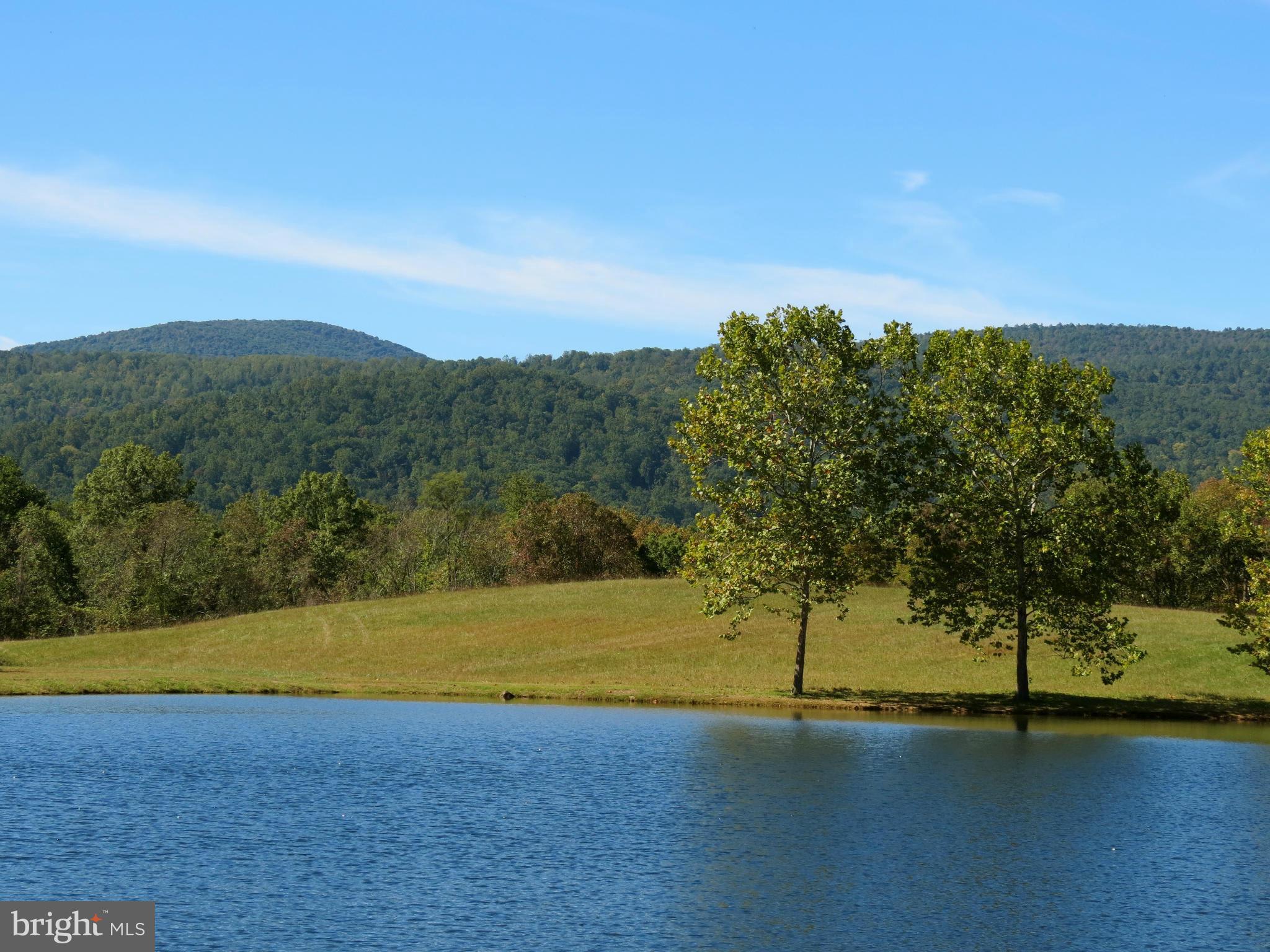 View of the pond 2