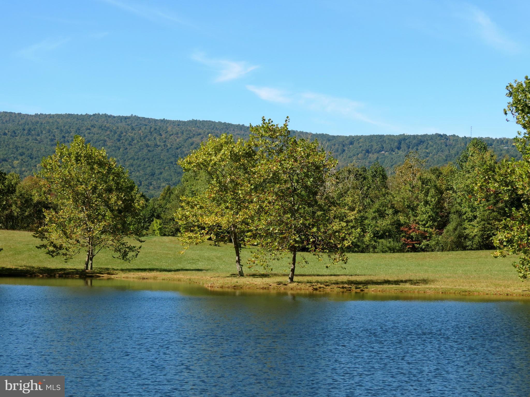 View of pond 3
