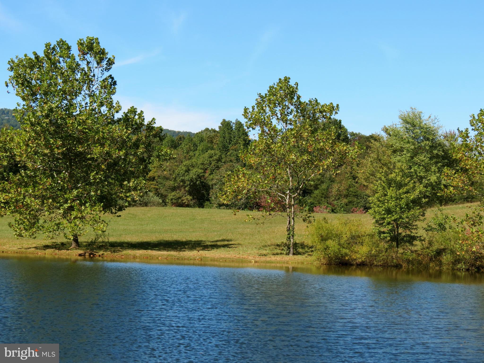14176 Hume Road Hume, VA 22639 - Photo 8 of 12 View of pond 4