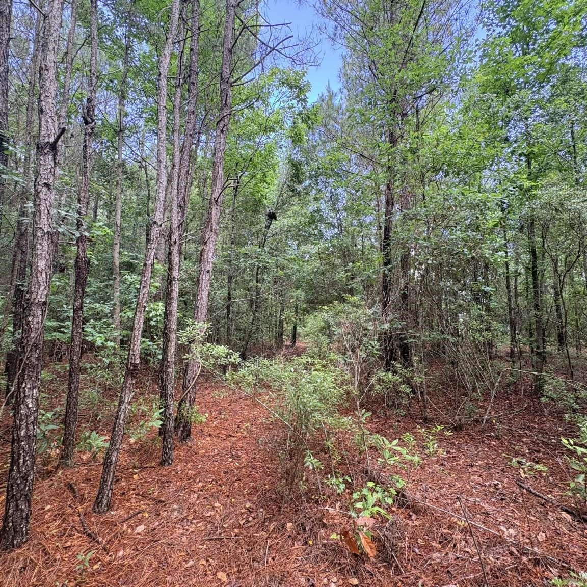 1660 Nathan Drive Loris, SC 29569 - Photo 9 of 47