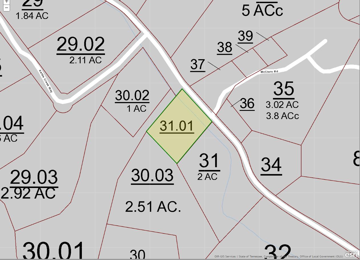 Tunis Road Sevierville, TN 37876 - Photo 1 of 1 Tunis Branch Parcel 31.01 GIS Map