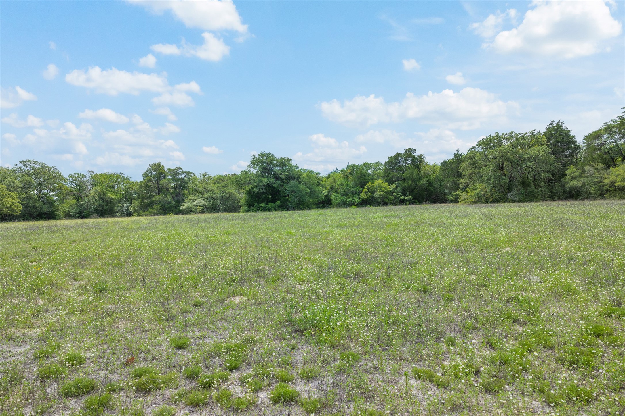622 Red Rock Ranch Road Red Rock, TX 78662 - Photo 27 of 46 a view of a field with an trees in the background