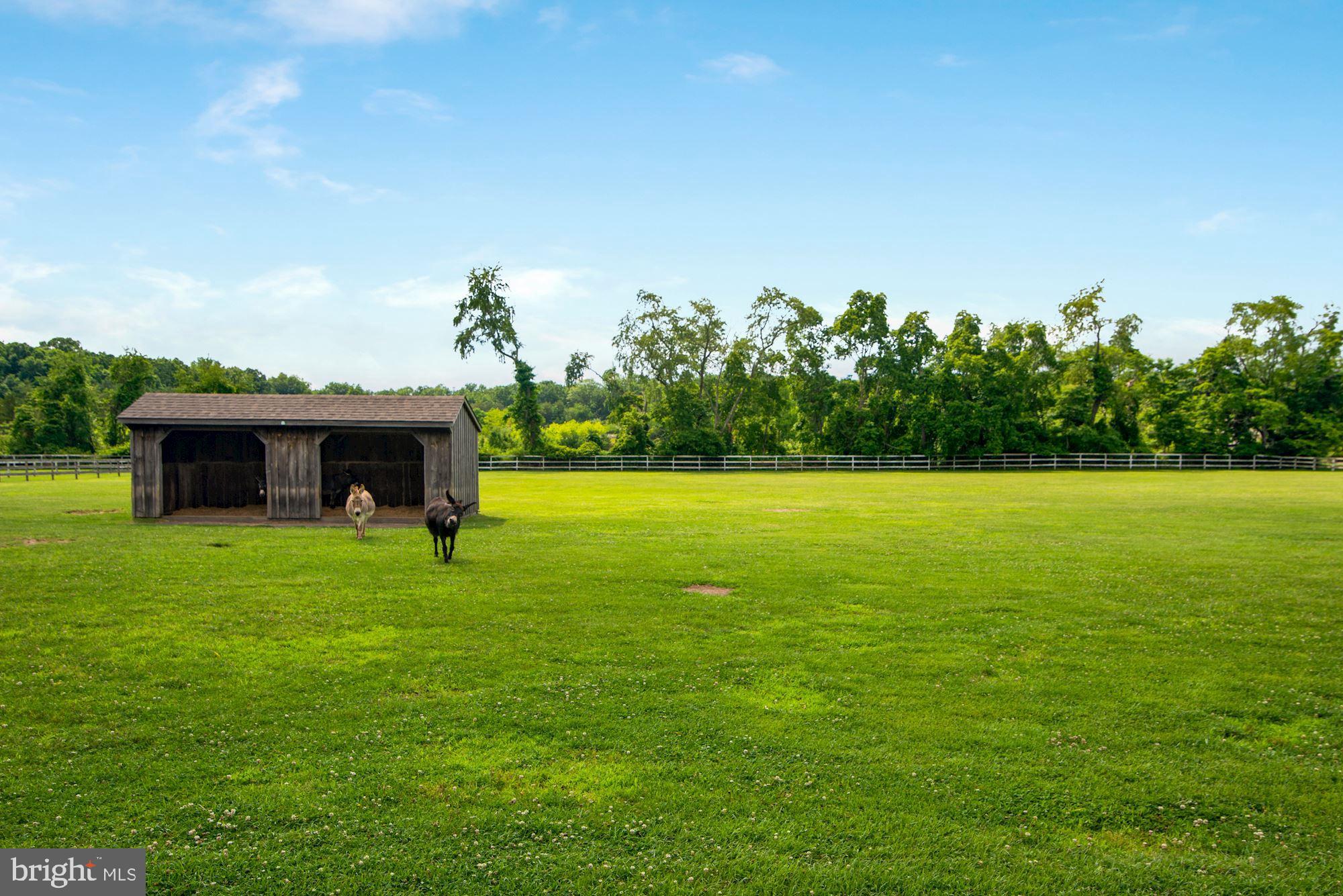 19 Oriental Road Shamong, NJ 08088 - Photo 70 of 86