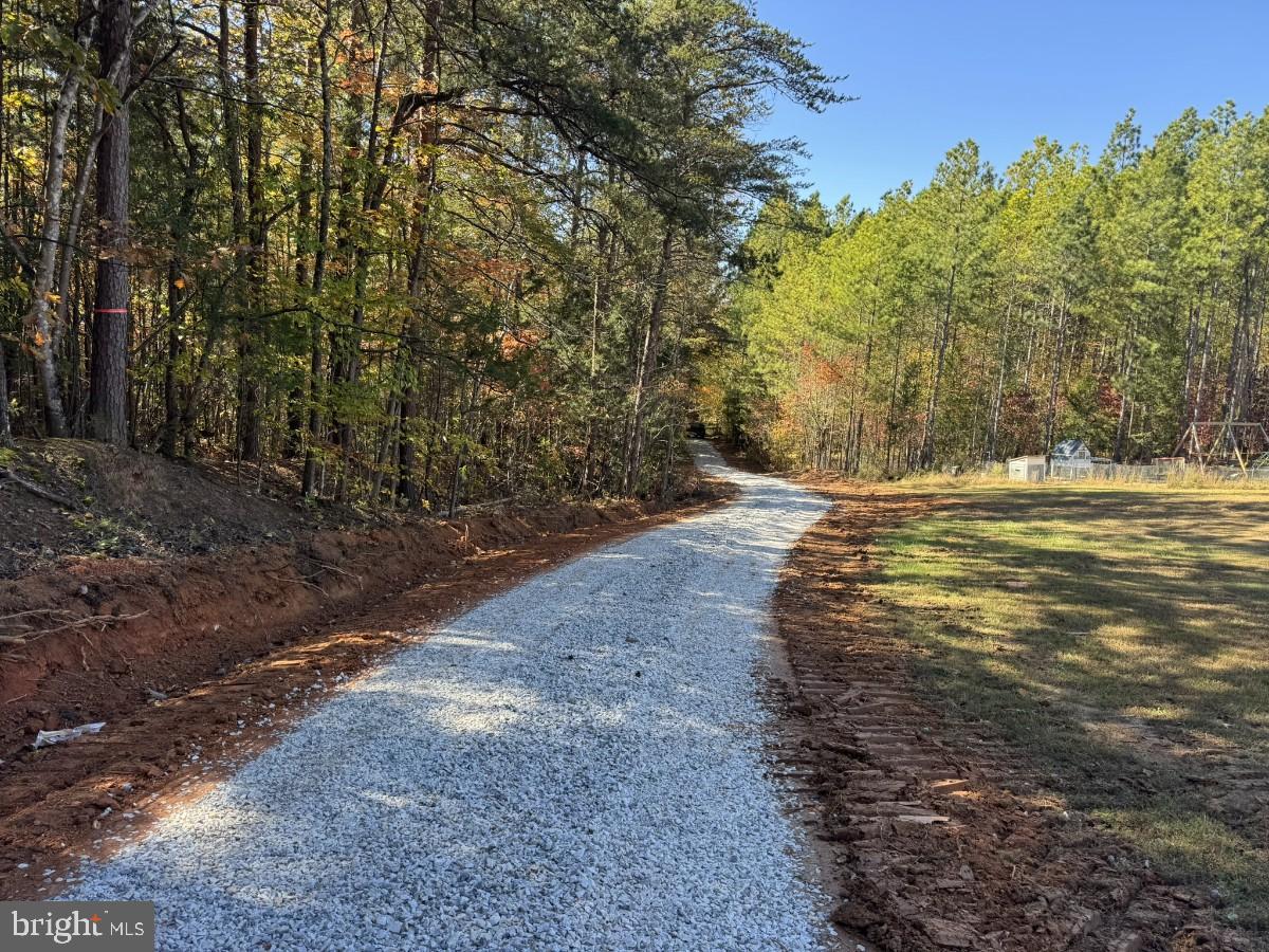 0 Meherrin Road Meherrin, VA 23954 - Photo 15 of 31