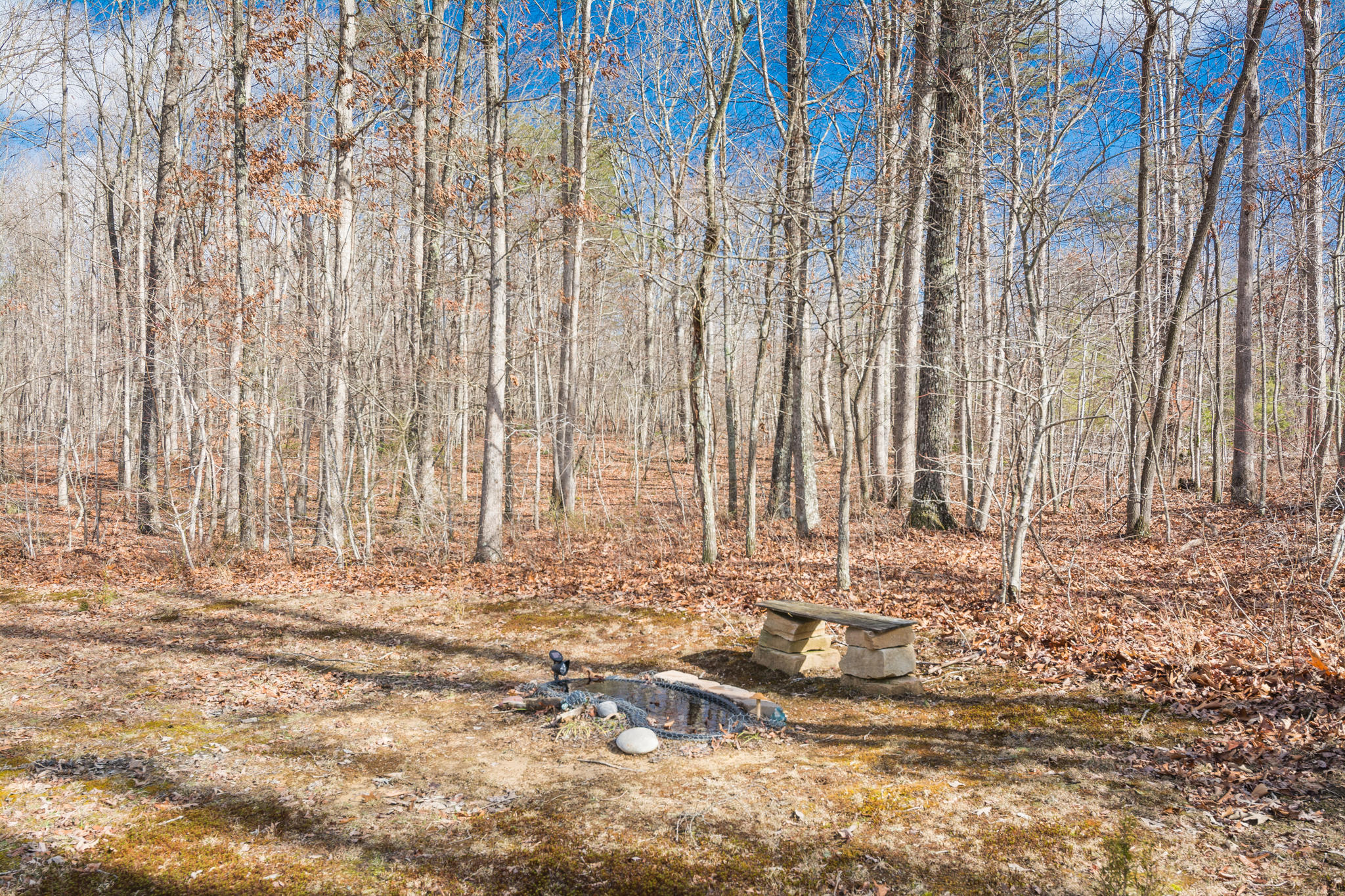 1701 Whiteoak Swamps Road Dunlap, TN 37327 - Photo 26 of 38 Front Yard Bench