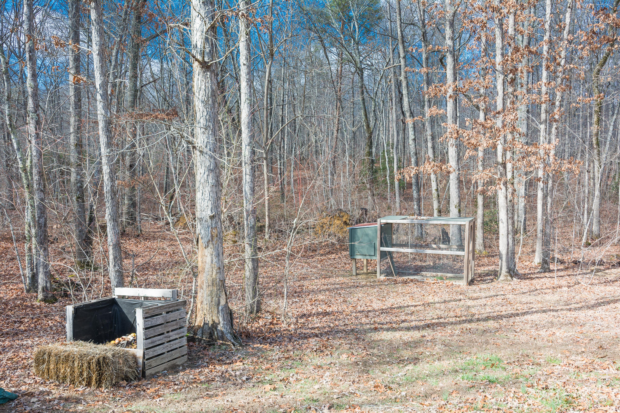 1701 Whiteoak Swamps Road Dunlap, TN 37327 - Photo 27 of 38 Back Yard