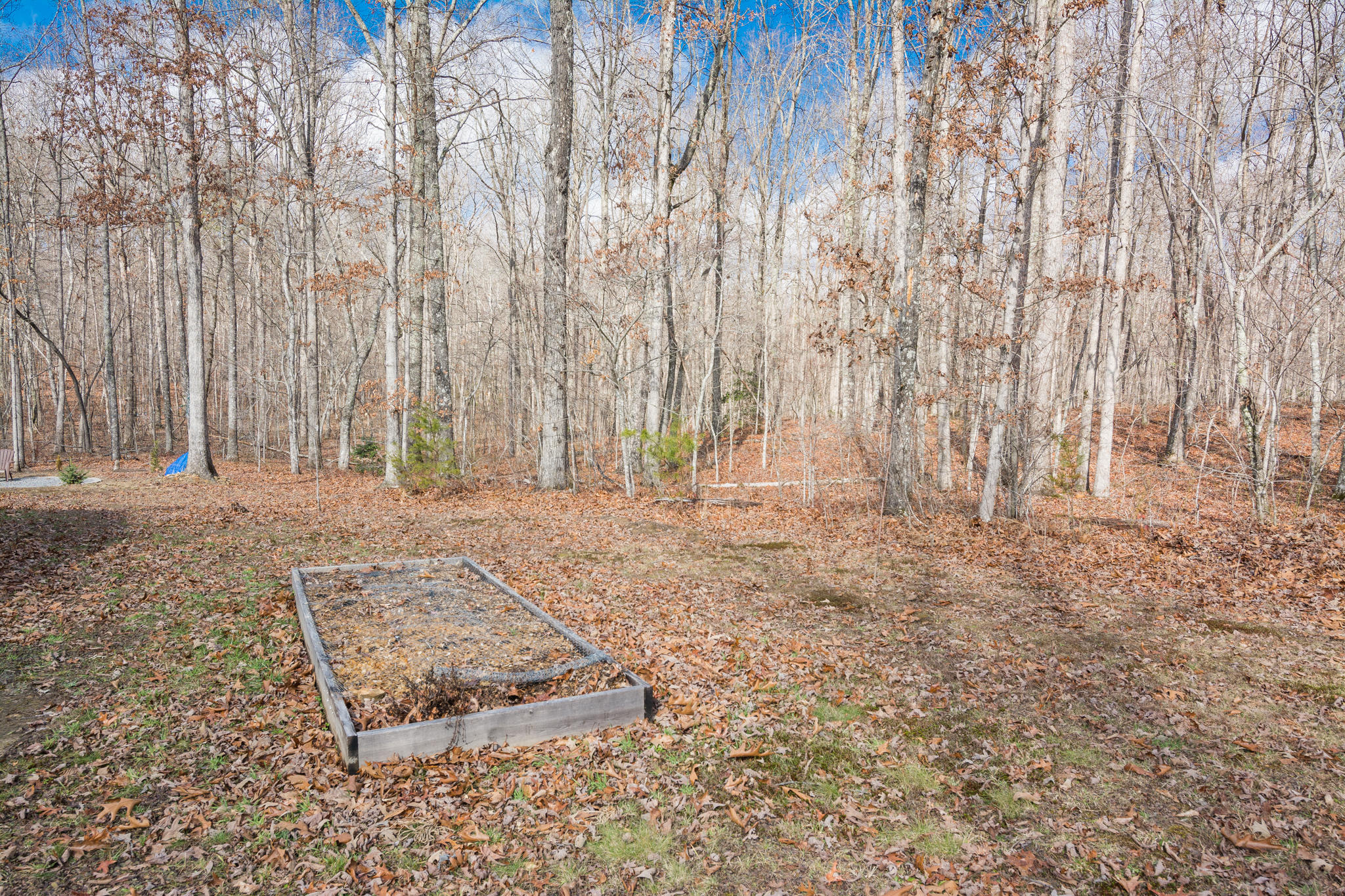 1701 Whiteoak Swamps Road Dunlap, TN 37327 - Photo 29 of 38 Side Yard Garden