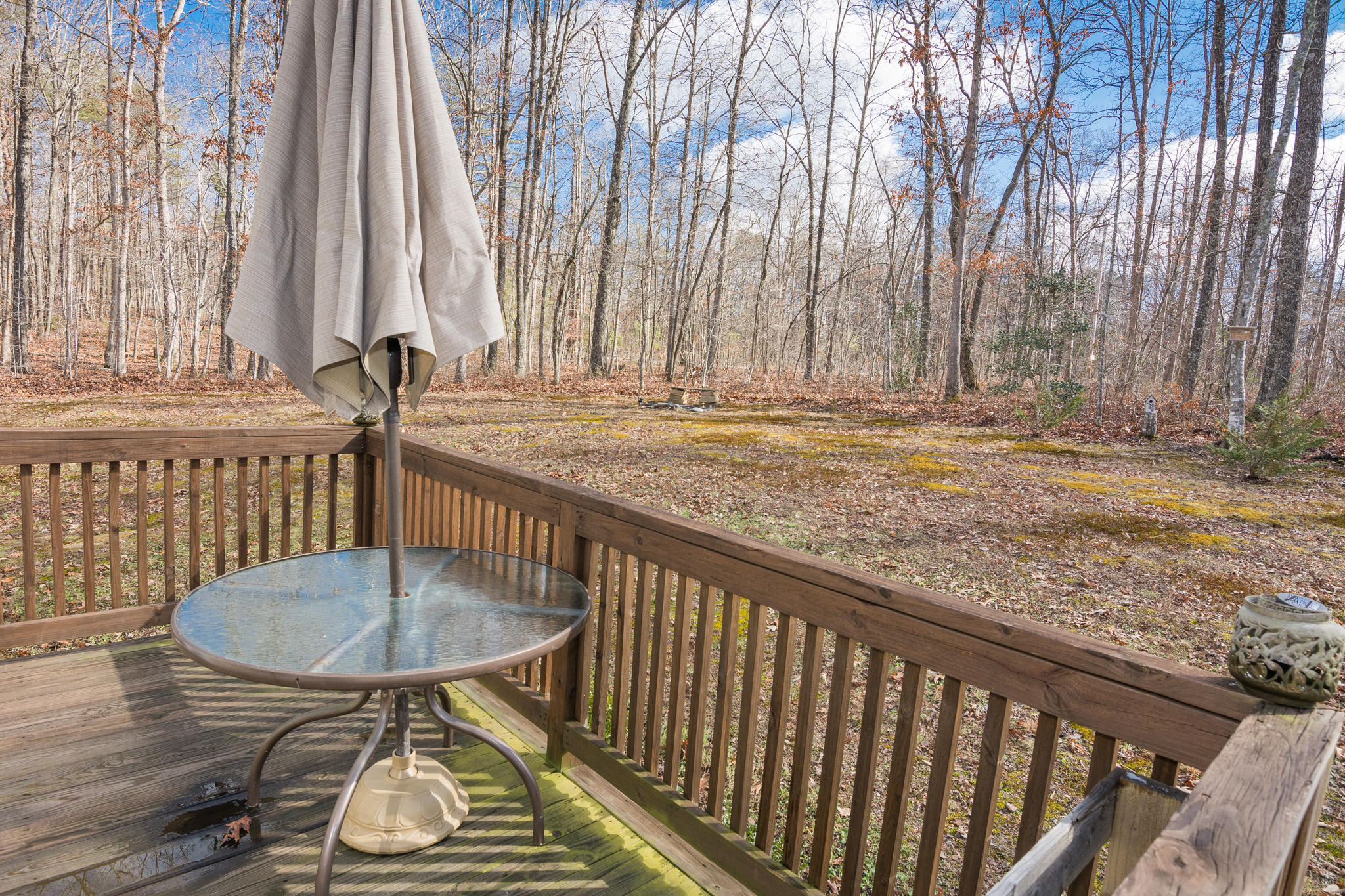 1701 Whiteoak Swamps Road Dunlap, TN 37327 - Photo 32 of 38 Front Deck