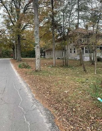 a tree in middle of the garden