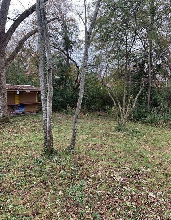 114 East Adams Street Sparta, GA 31087 - Photo 17 of 17 a view of a forest with large trees