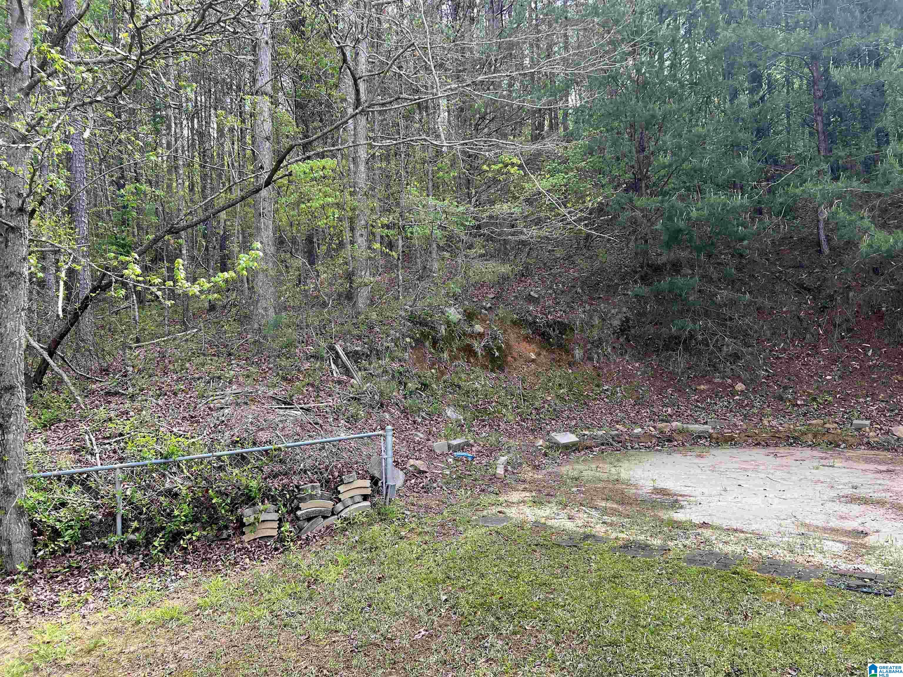 1158 Armstrong Road Remlap, AL 35133 - Photo 68 of 70