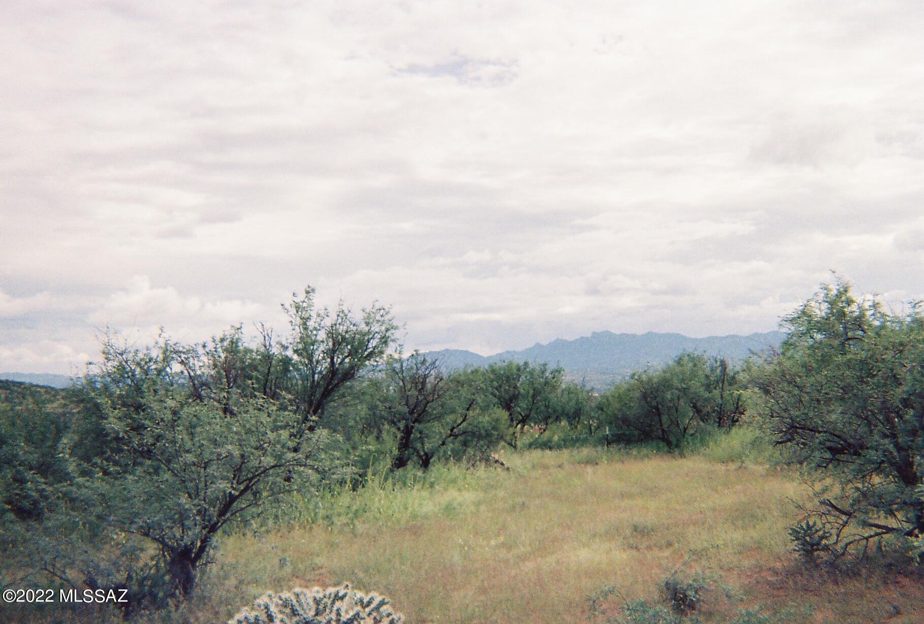 1787 Zimmer Court, Unit 28 Rio Rico, AZ 85648 - Photo 6 of 8