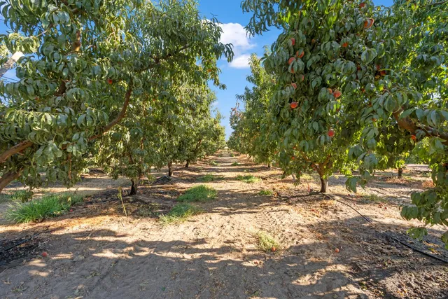 $2,908,200 | 0 Hinton Avenue, Delhi, CA 95315