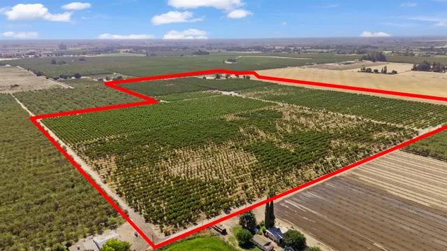 a view of a lake with a city