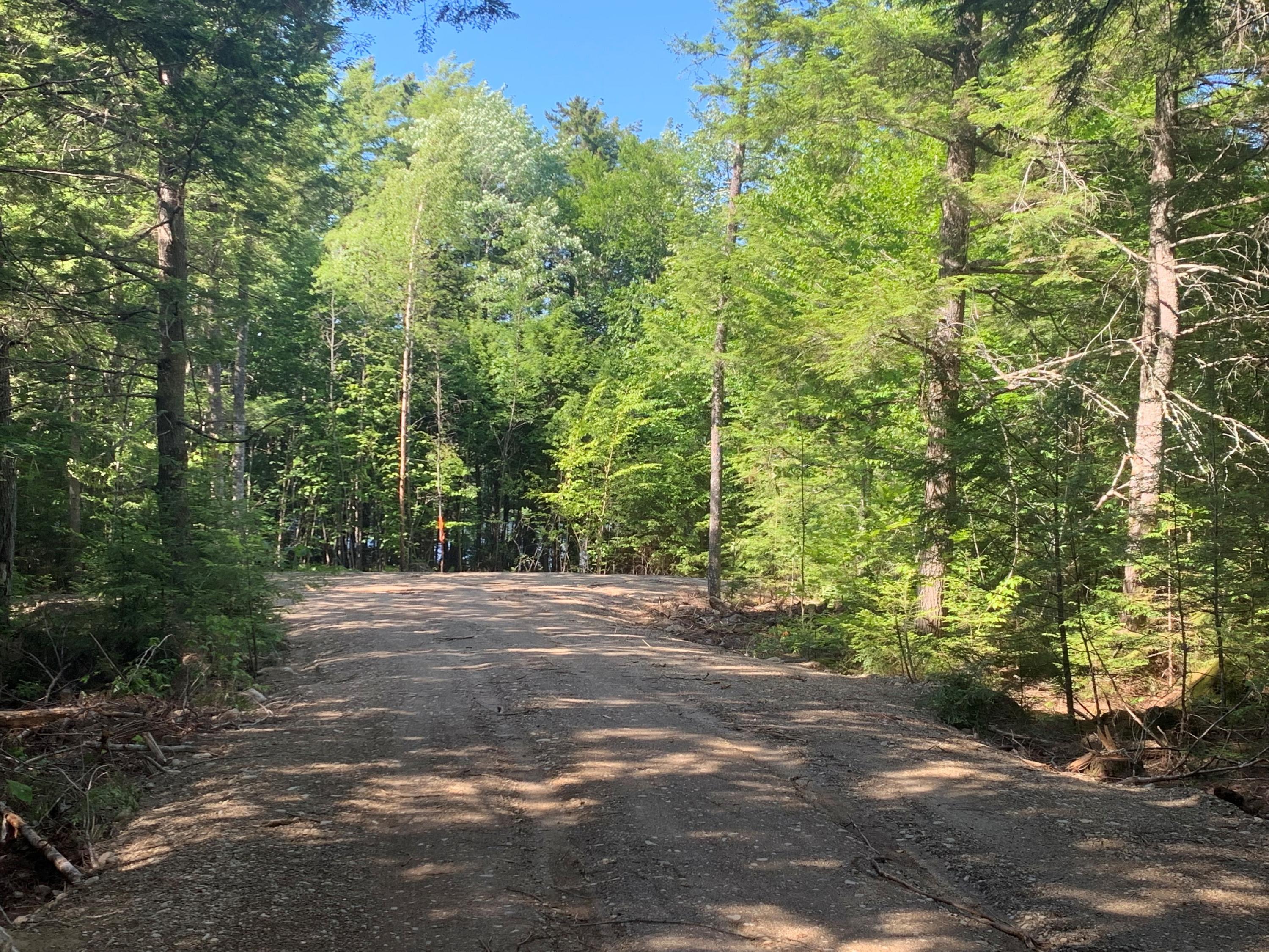 Lot 13 Trails End Road Lincoln, ME 04457 - Photo 3 of 9 MLS3