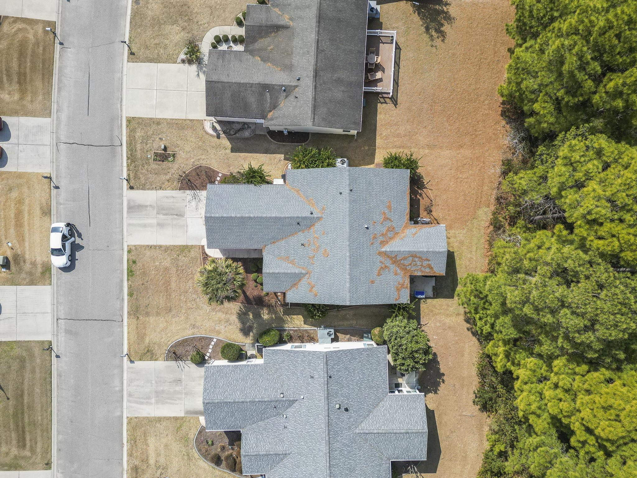 137 Wellspring Drive Conway, SC 29526 - Photo 3 of 43