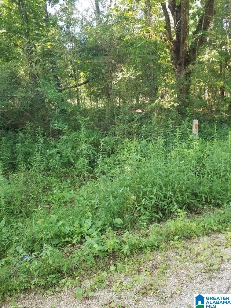 270 Oxford Road Lincoln, AL 35096 - Photo 5 of 21