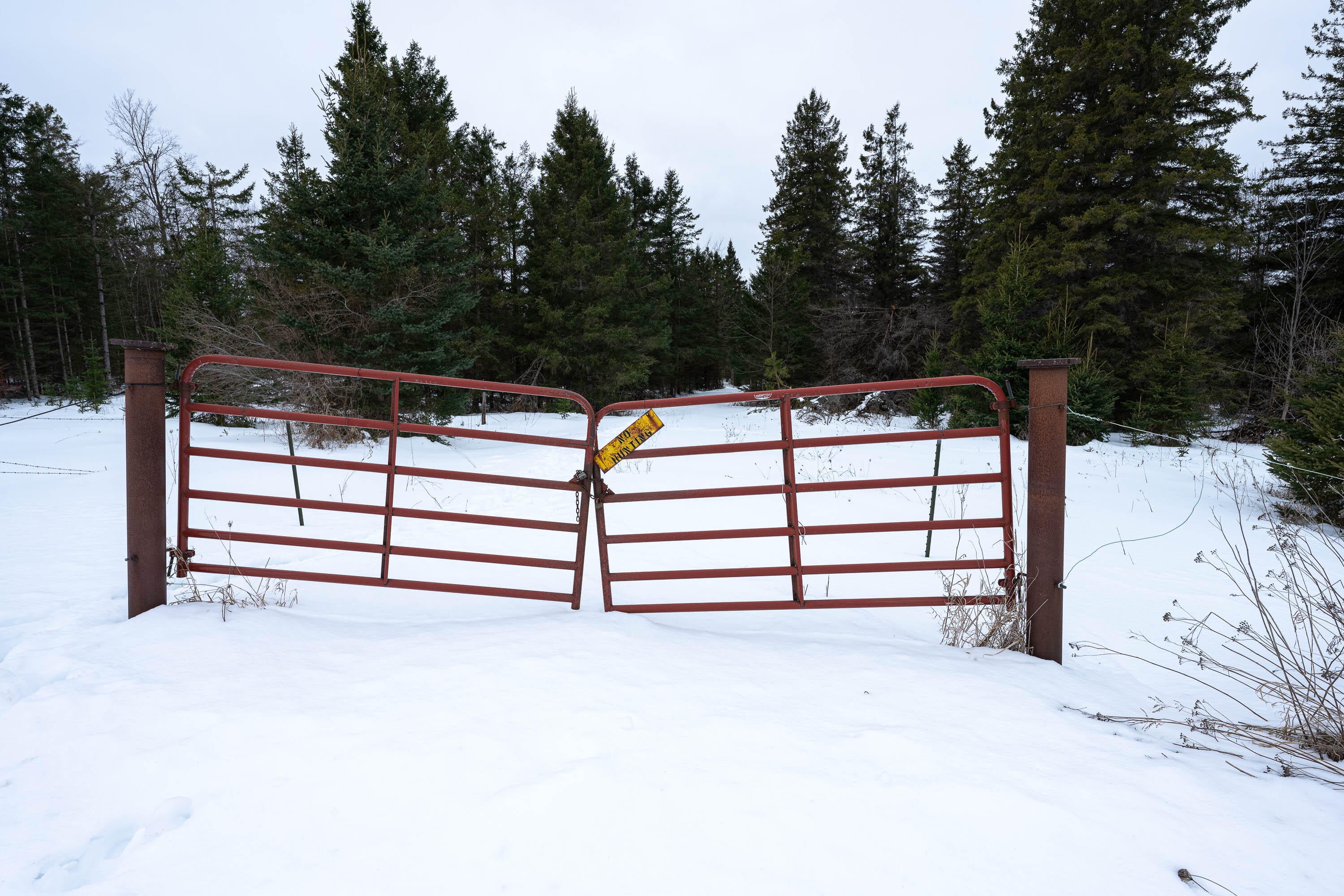 1490 Calcut Road Lachine, MI 49753 - Photo 52 of 52 Gallery Image 52