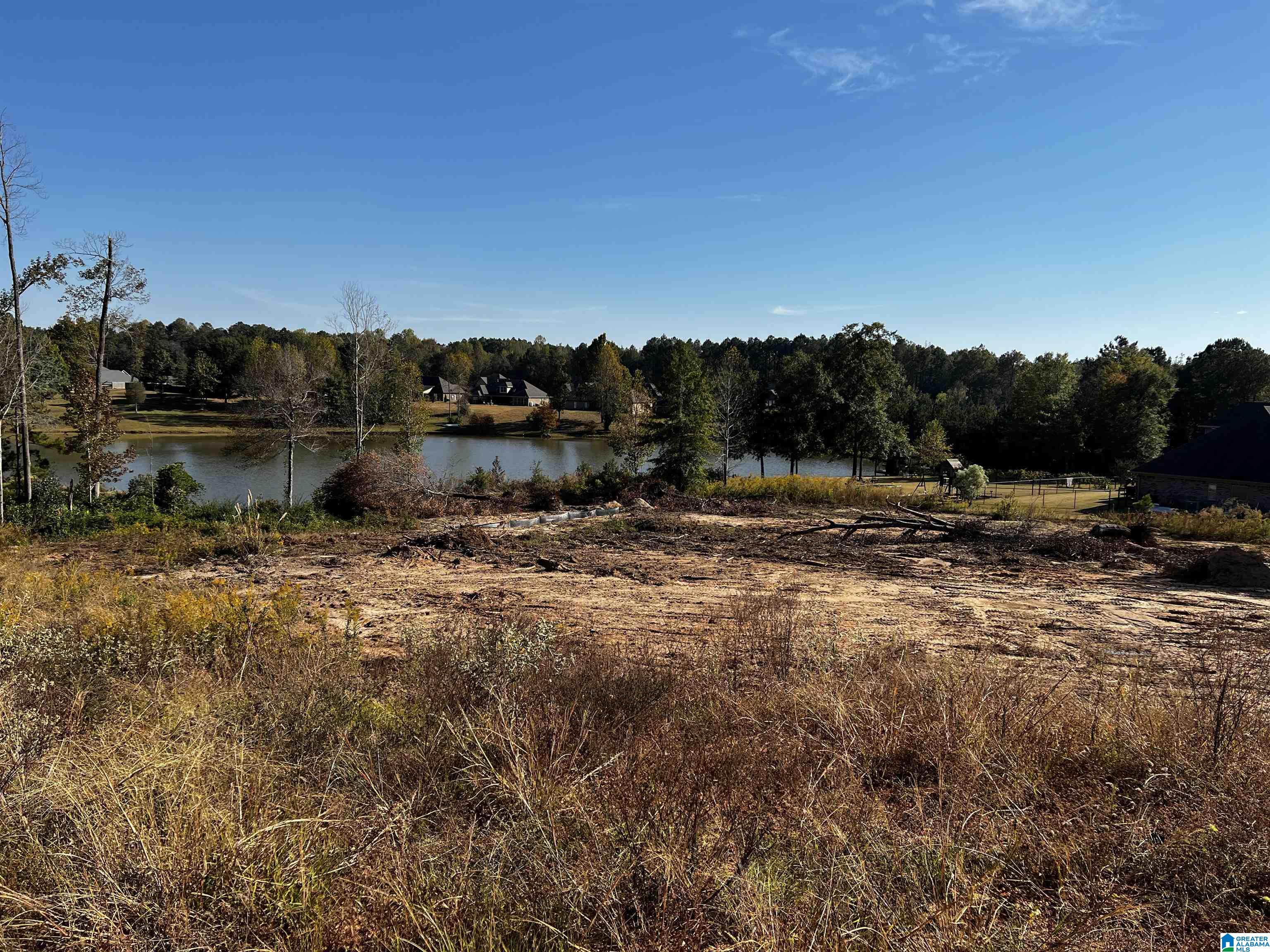 6 Austin Loop, Unit 62 Woodstock, AL 35188 - Photo 3 of 3