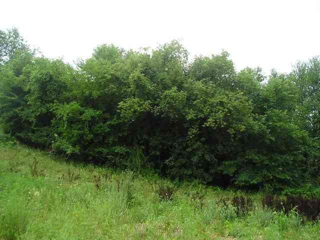 1 Pulaski Road Concord, MI 49237 - Photo 3 of 3 Photo 3