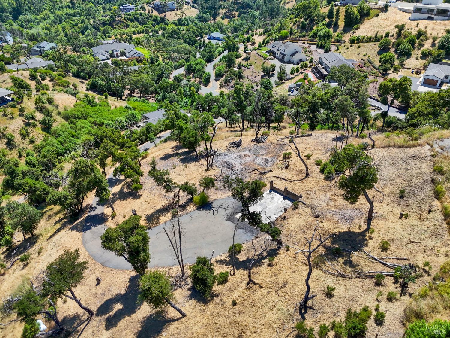 1400 Michele Way Santa Rosa, CA 95404 - Photo 19 of 35 a view of lot of trees and covered with trees