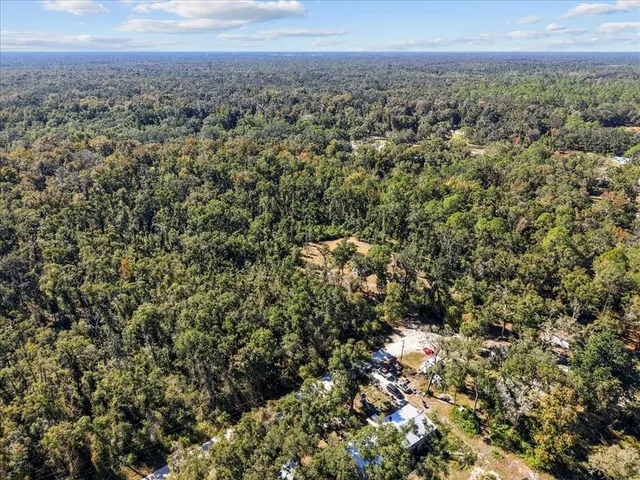 a view of a big yard with lots of bushes