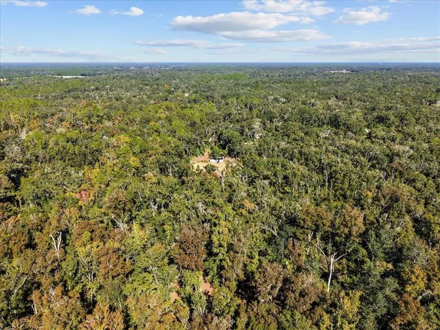 a view of a field with an ocean