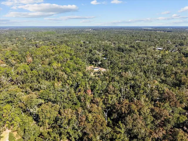 an aerial view of forest