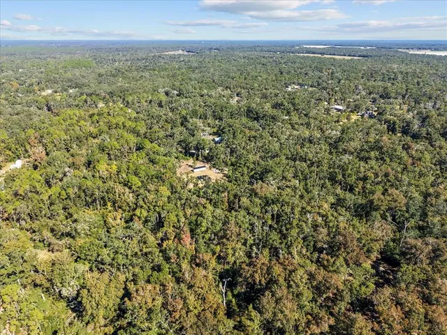 a view of a big yard with lots of bushes
