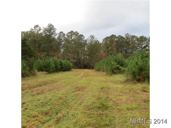 1541 Florence Road Merritt, NC 28556 - Photo 5 of 8 Additional Photo