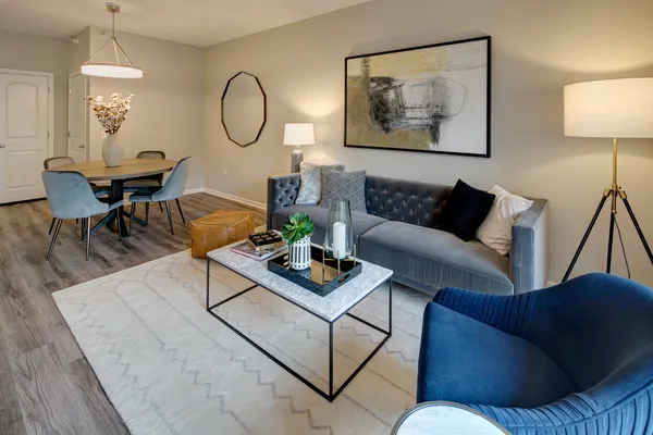 a living room with furniture and a lamp