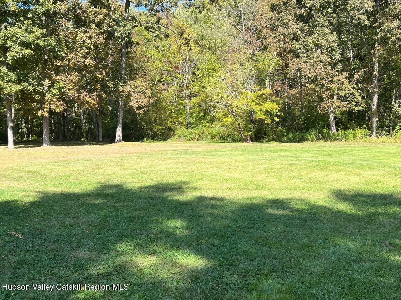 1665 Bulls Head Road Clinton Corners, NY 12514 - Photo 4 of 20 Rear Yard 2