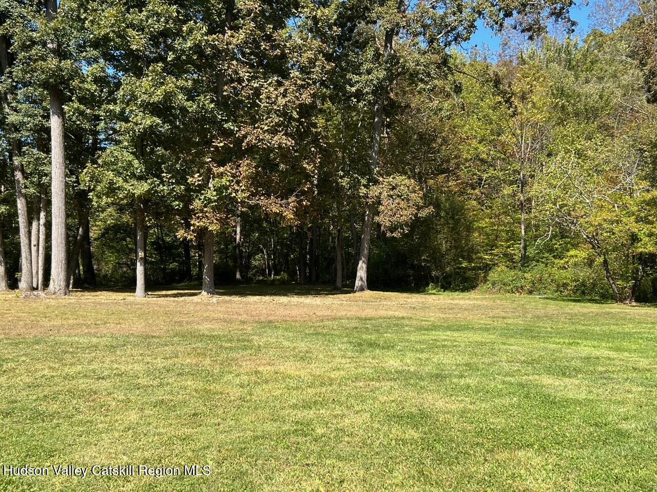 1665 Bulls Head Road Clinton Corners, NY 12514 - Photo 5 of 20 Rear Yard