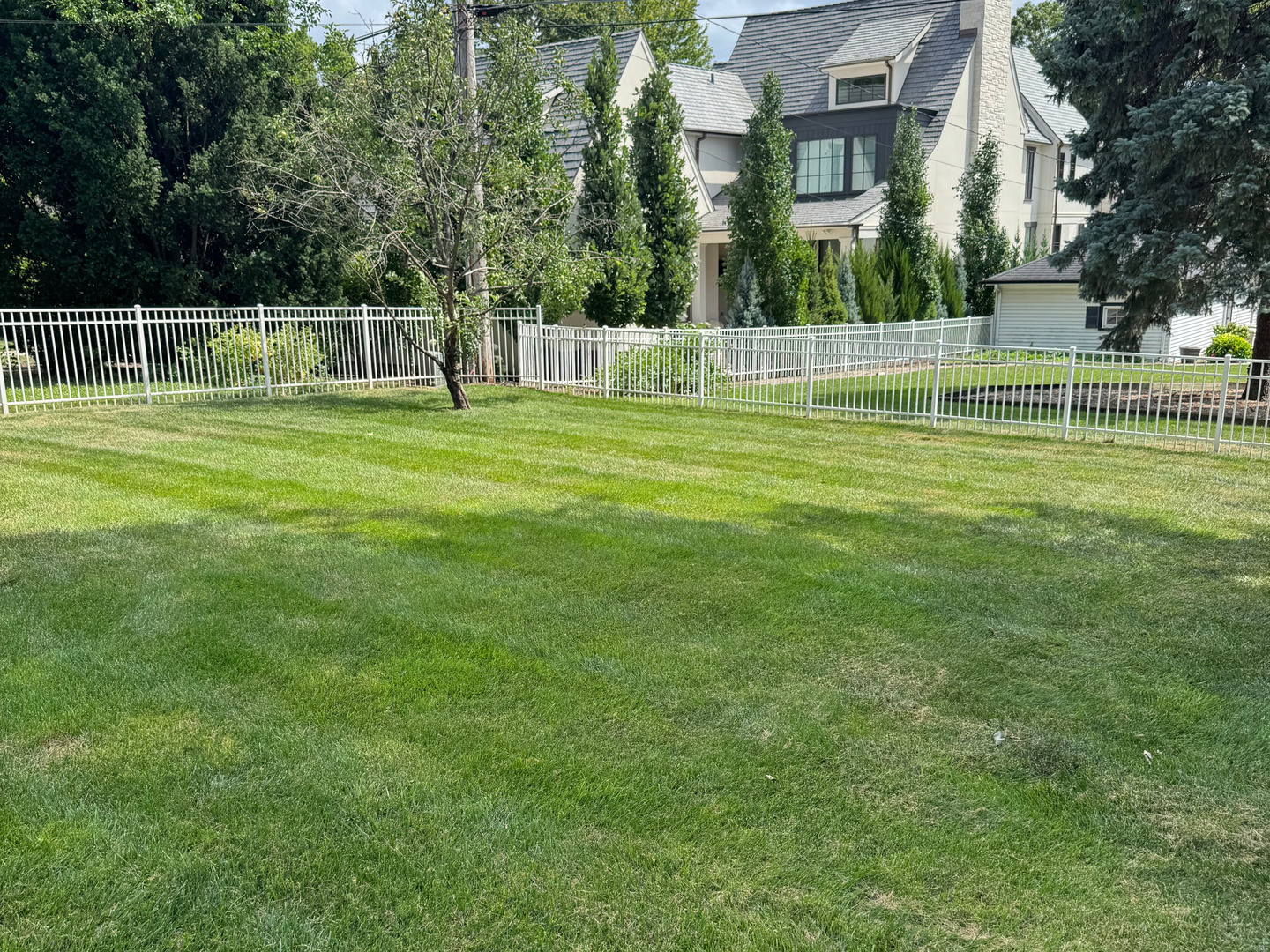 312 Douglas Avenue Naperville, IL 60540 - Photo 43 of 56