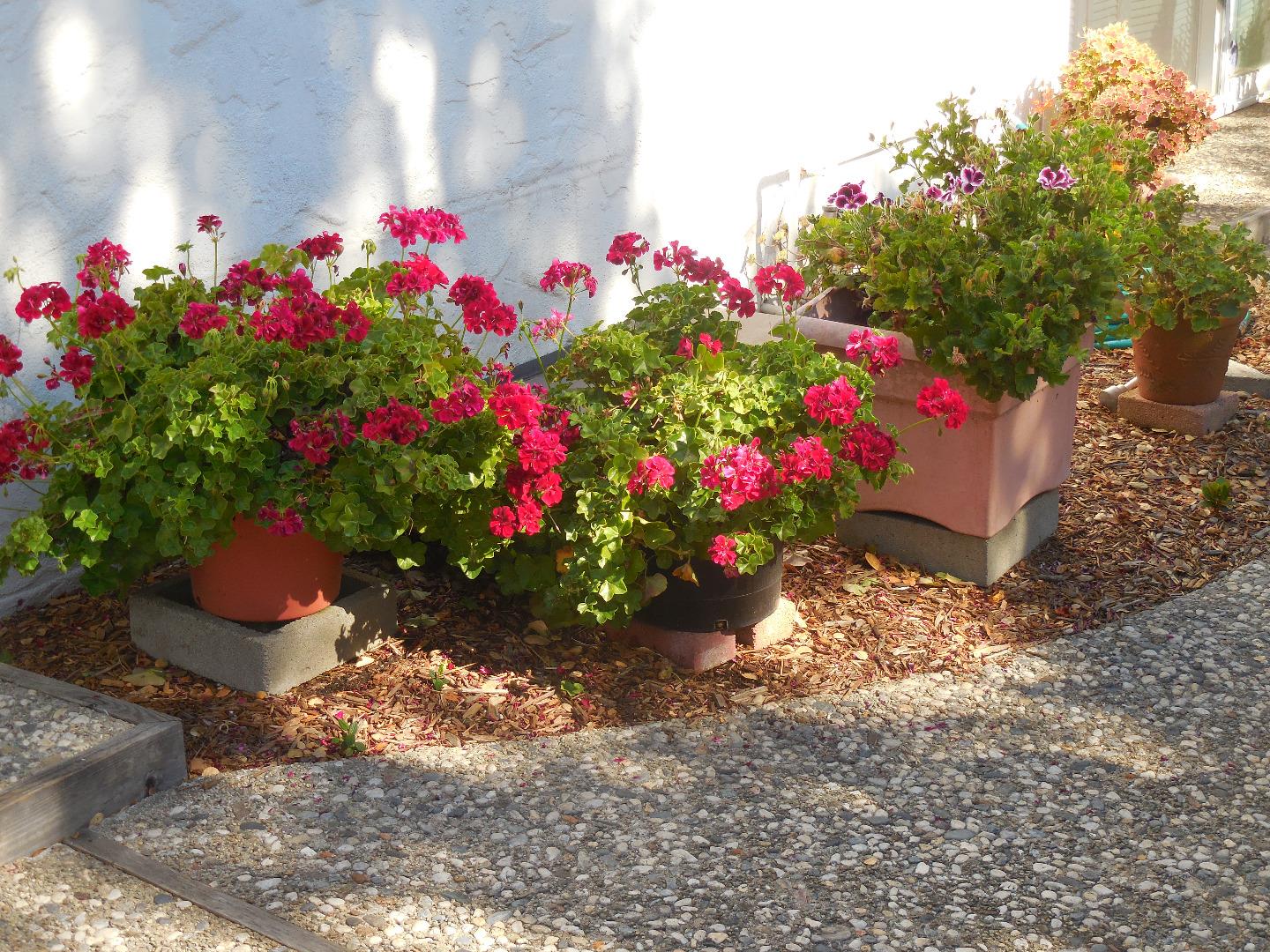 167 Littlefield Road Monterey, CA 93940 - Photo 8 of 26 Gallery Image 8