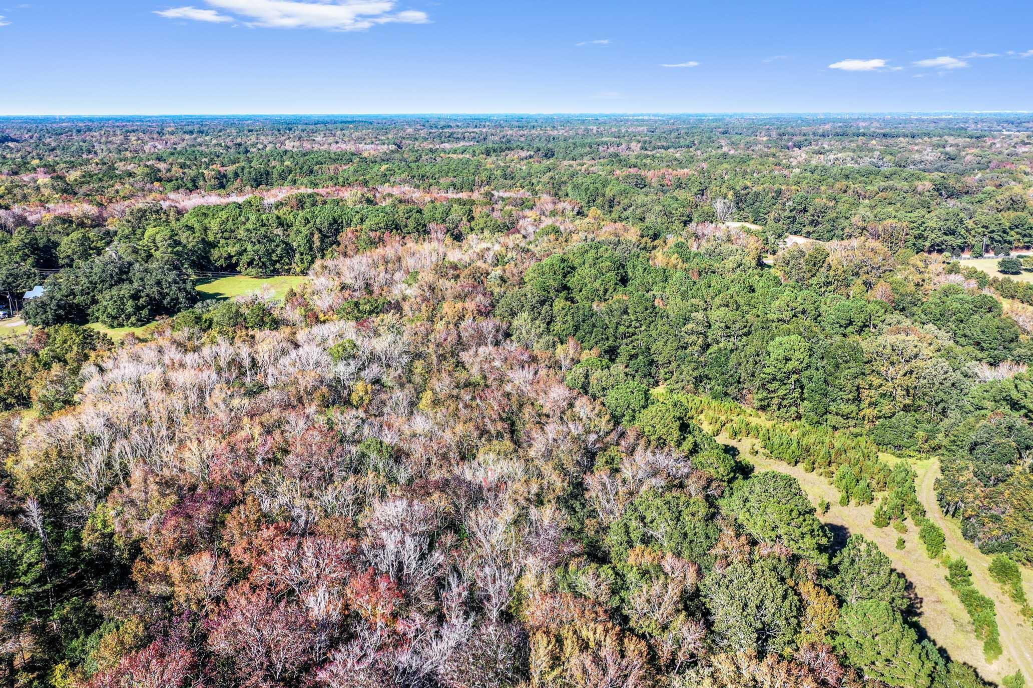 2418 Plow Ground Road Johns Island, SC 29455 - Photo 12 of 17 HFL_PLOW GROUND RD_30 ACRES-23