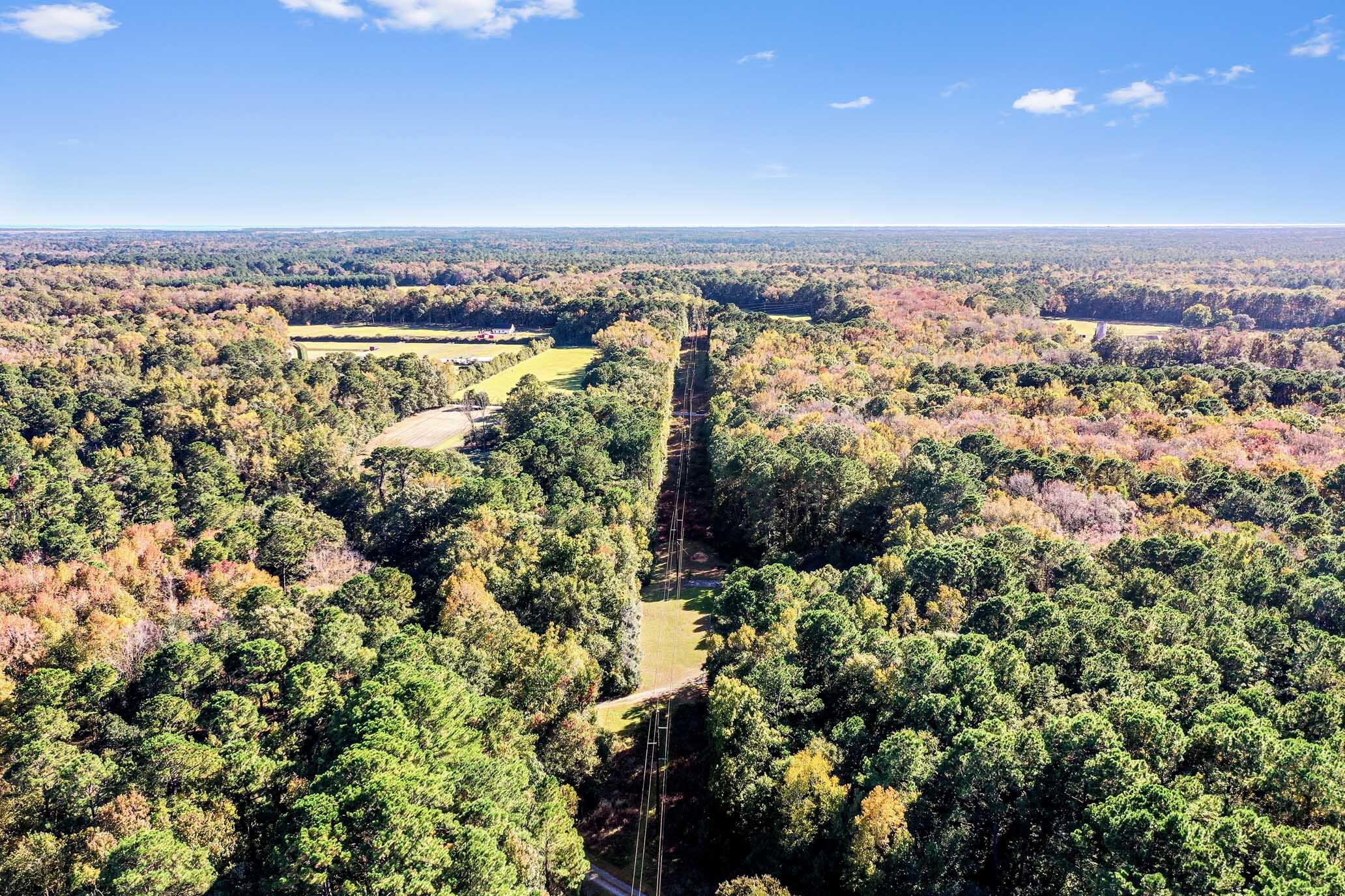 2418 Plow Ground Road Johns Island, SC 29455 - Photo 14 of 17 HFL_PLOW GROUND RD_30 ACRES-26