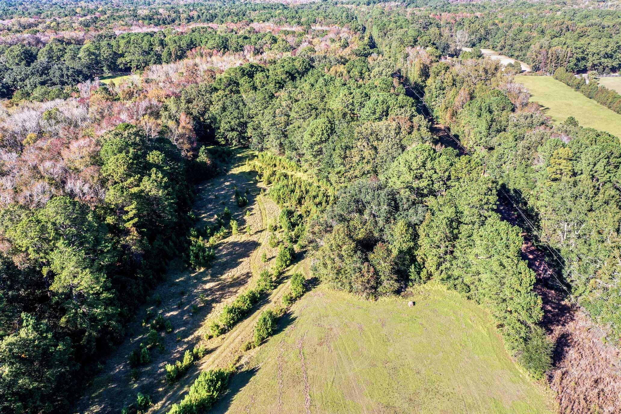 2418 Plow Ground Road Johns Island, SC 29455 - Photo 16 of 17 HFL_PLOW GROUND RD_30 ACRES-28